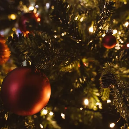 Fauzia ベッド・アンド・ブレックファスト