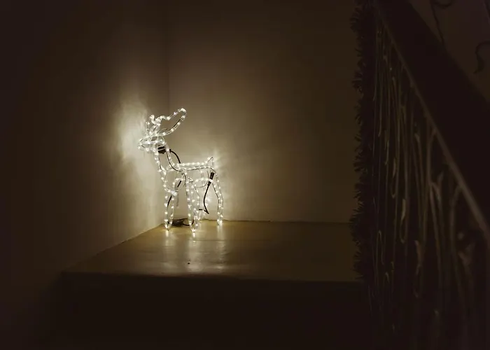 Fauzia Bed & Breakfast